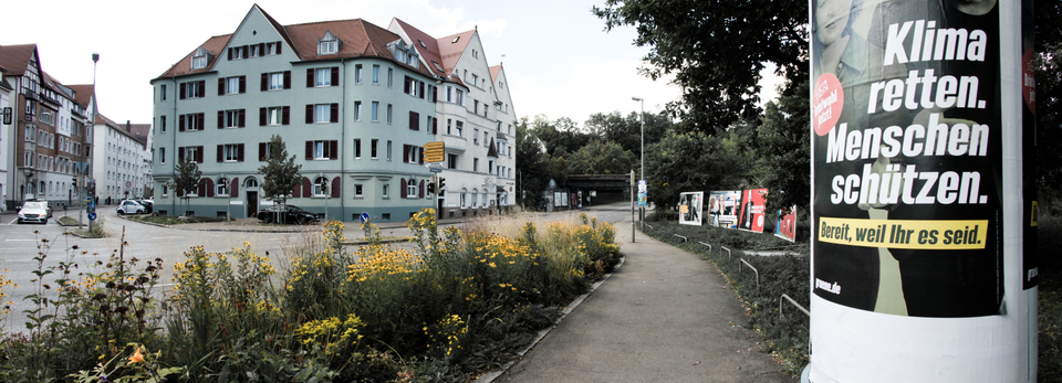 Special Green - ID 009752