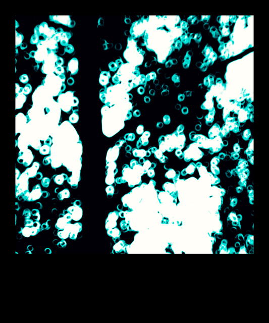 Tree Circles - ID 009779