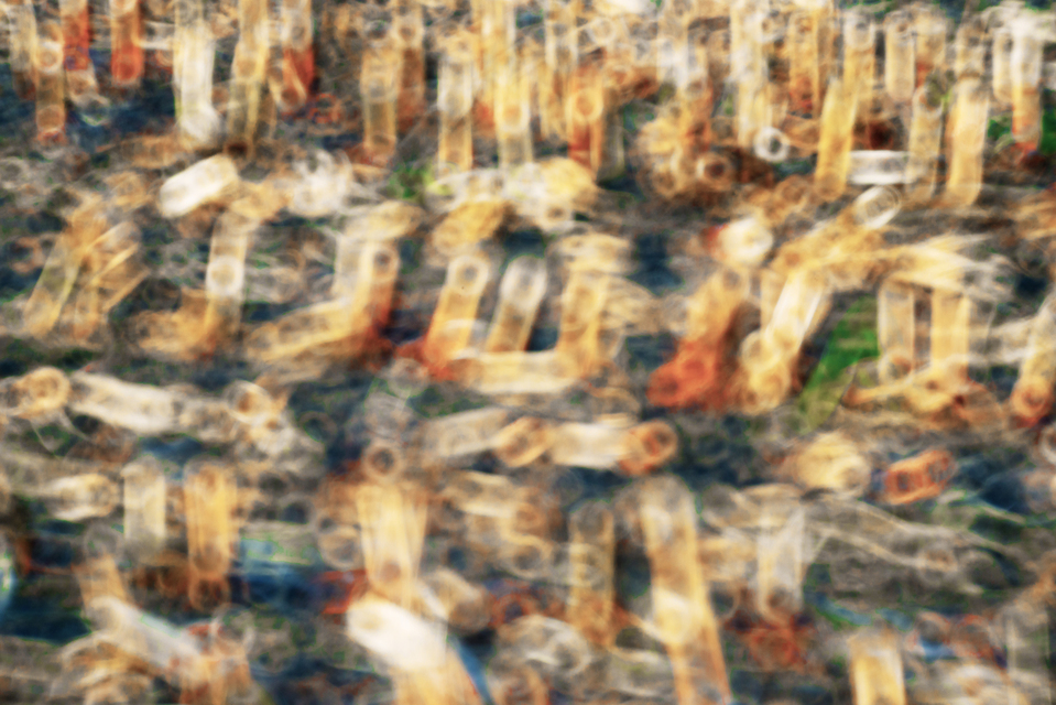 Field II - ID 009781