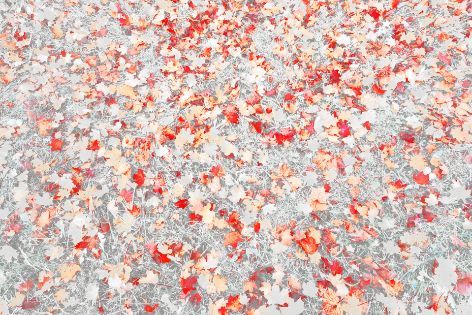 Red Fall - ID 009822