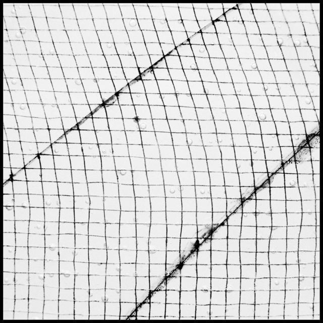 Cracks on Bubbles II - ID 009867