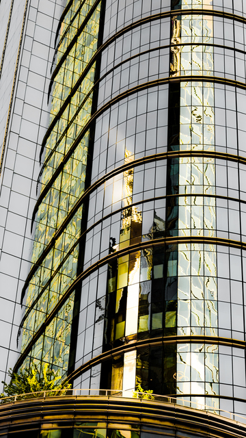 Yellow Refection II - ID 009885