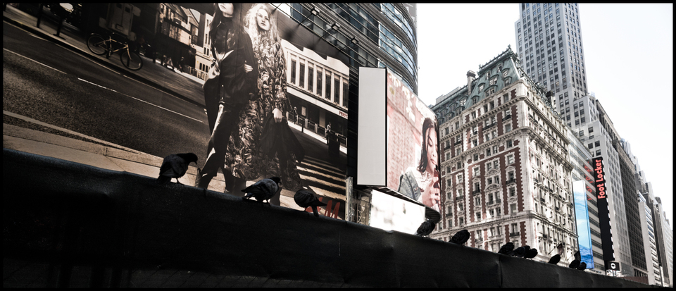 Walking Together over Doves - ID 009899