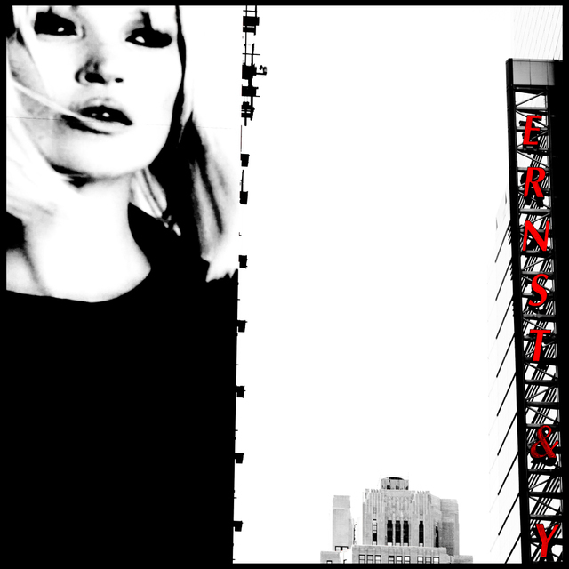 ERNST and Y - ID 009909