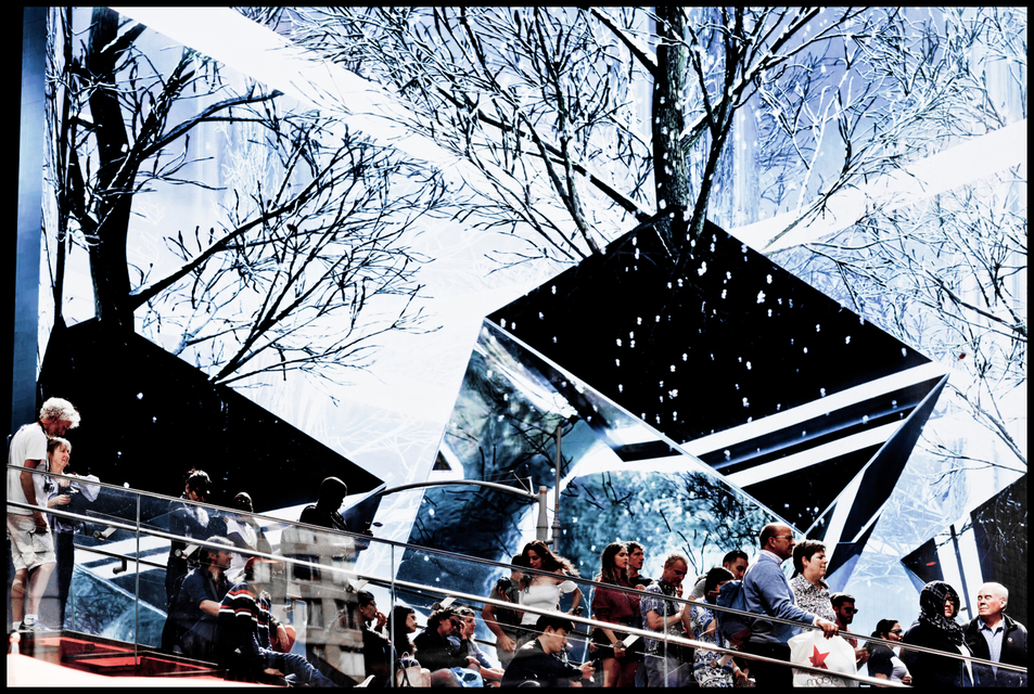 In front of Snow - ID 009937