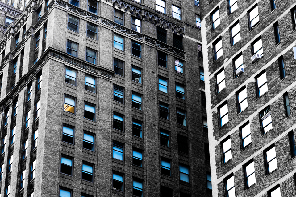 Still at Work I - ID 009995