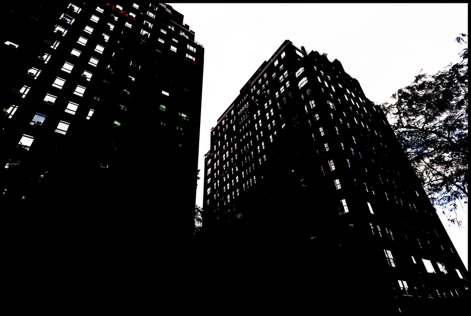 Two Black Houses - ID 010061