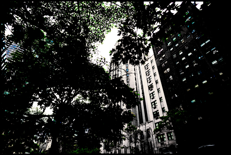 Two Blue Windows in Grey House - ID 010062