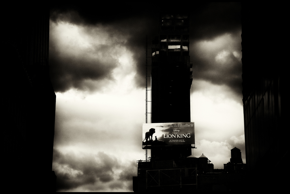 LION KING - ID 010205