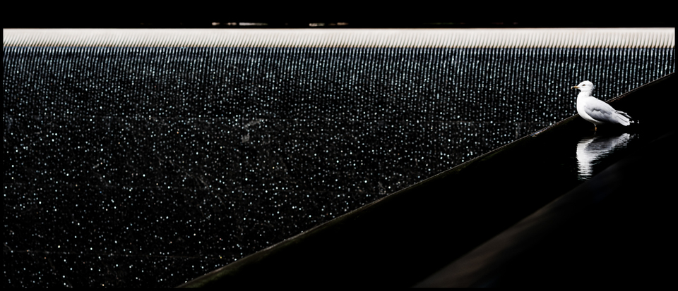 Ground Zero V - ID 010271