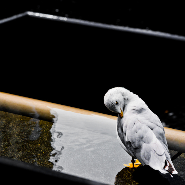 Ground Zero VI - ID 010272