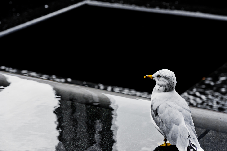 Ground Zero X - ID 010276