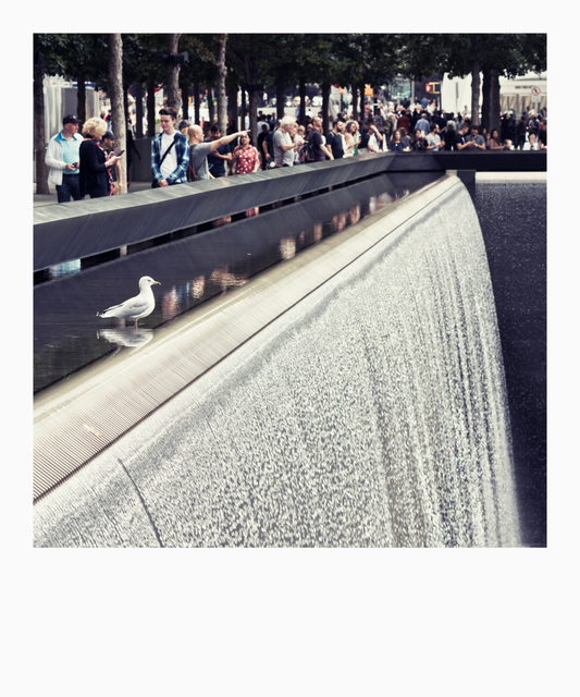 Ground Zero XI - ID 010277