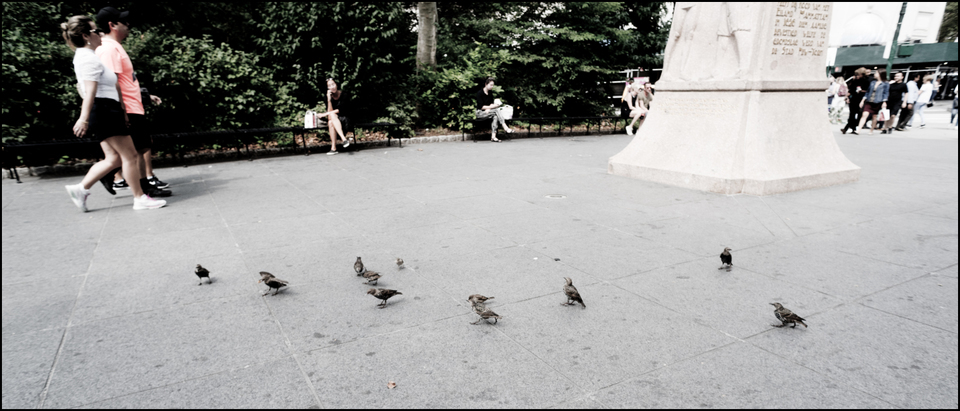 Battery Park II - ID 010318