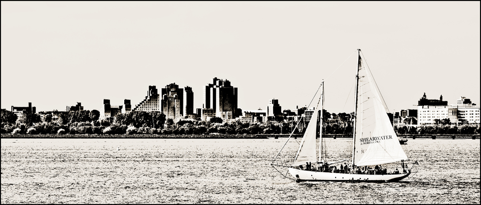 SHEARWATER - ID 010330