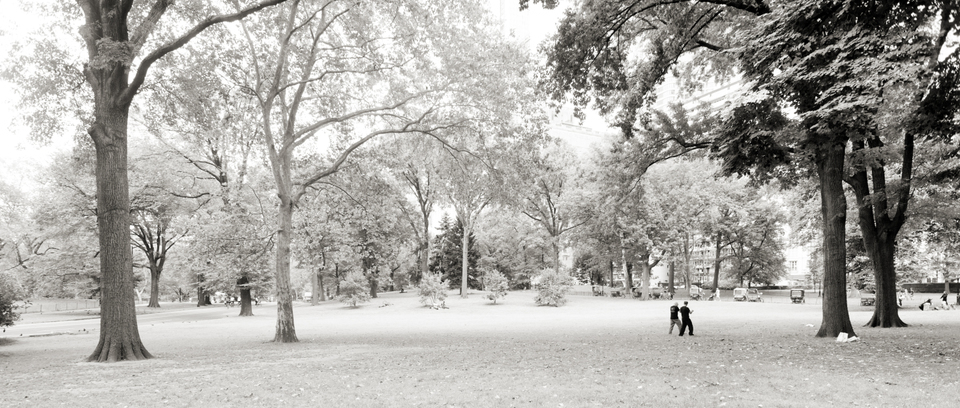 Training - ID 010404