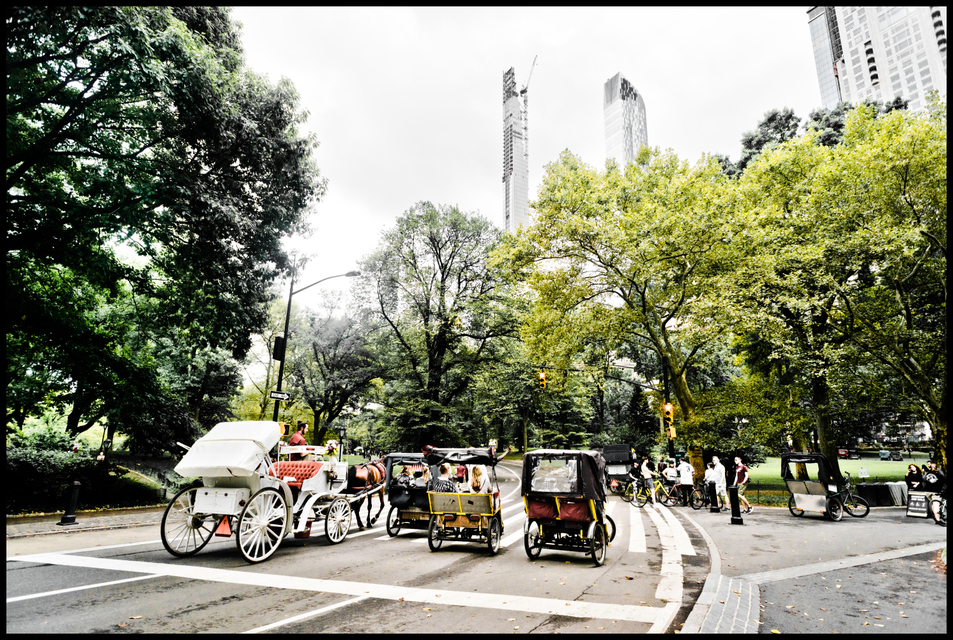 Coaches in the Park I - ID 010405
