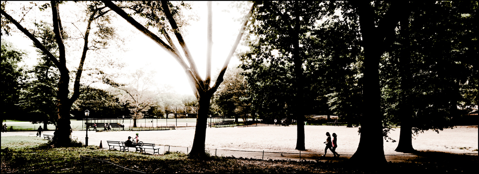 In the Park - ID 010407