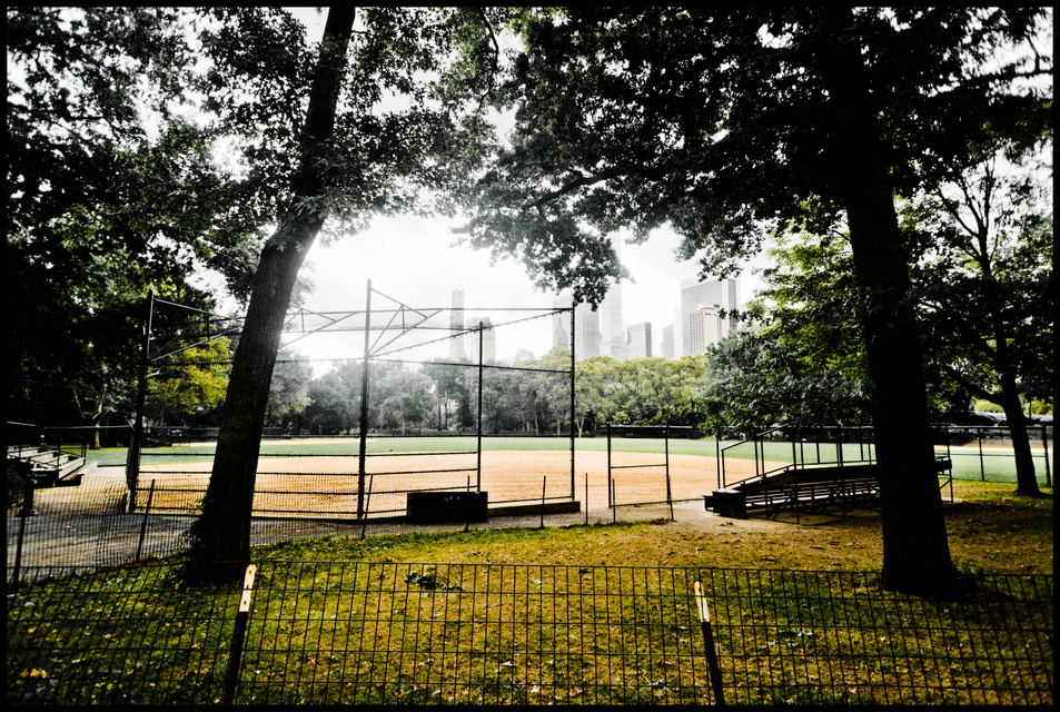 Baseball Field in the Park - ID 010408