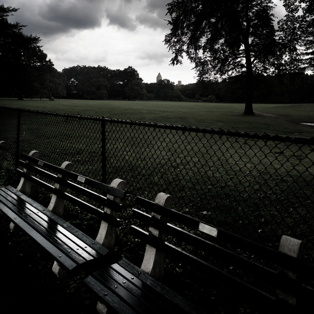 Upcoming Rain in the Park - ID 010409