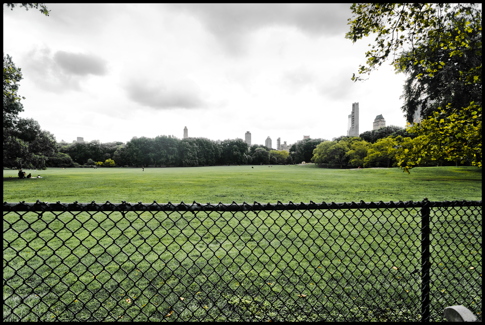 Park behind the Bench II - ID 010413
