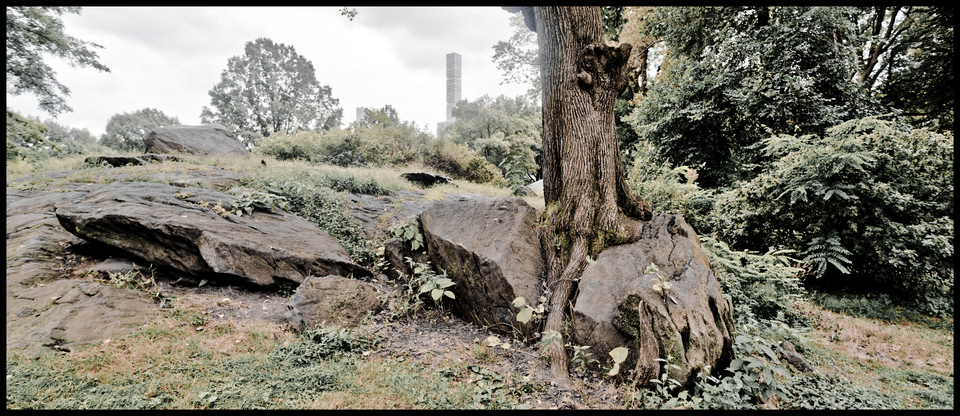 Modern Tree II - ID 010419