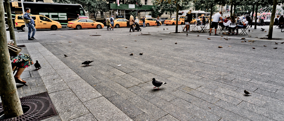 Doves and Taxis - ID 010437