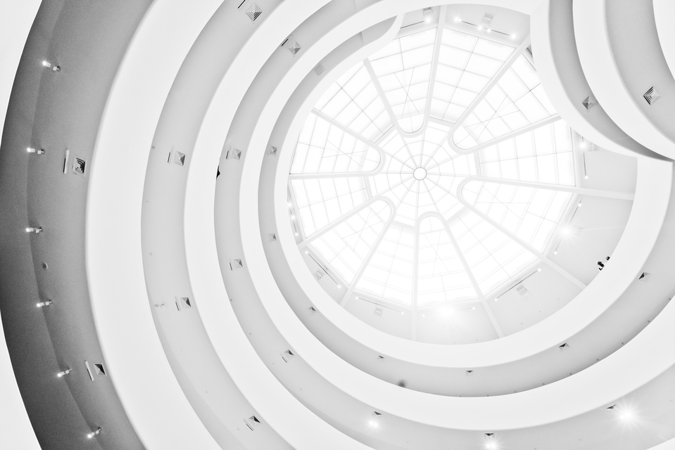 Skyview XV - ID 010484