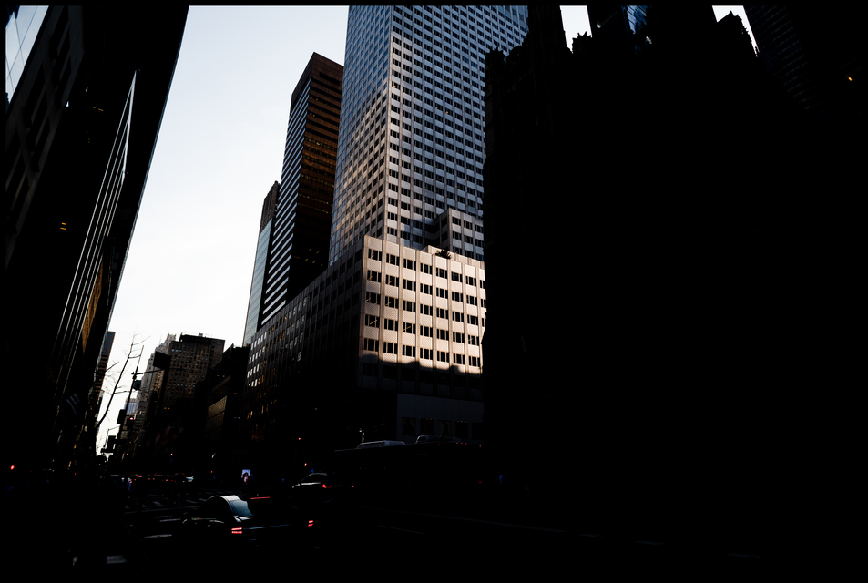 Within Bright Light - ID 010499