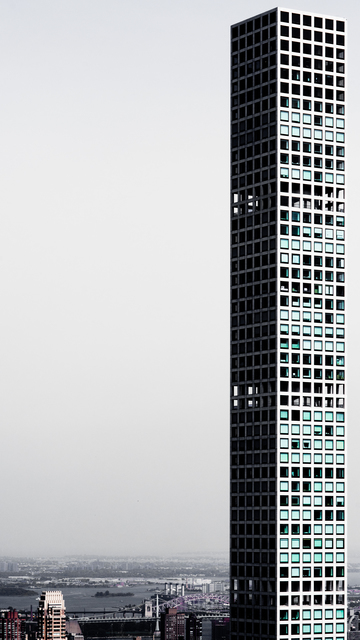 Needle II - ID 010553