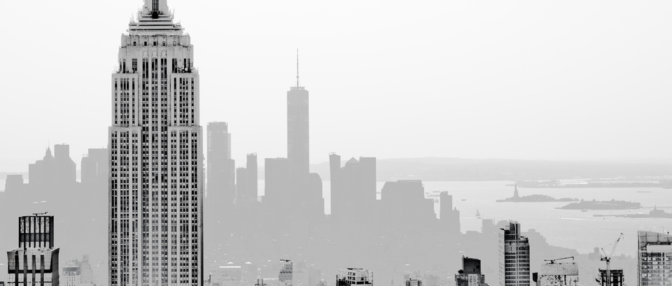 Manhatten and Lady Liberty II - ID 010561