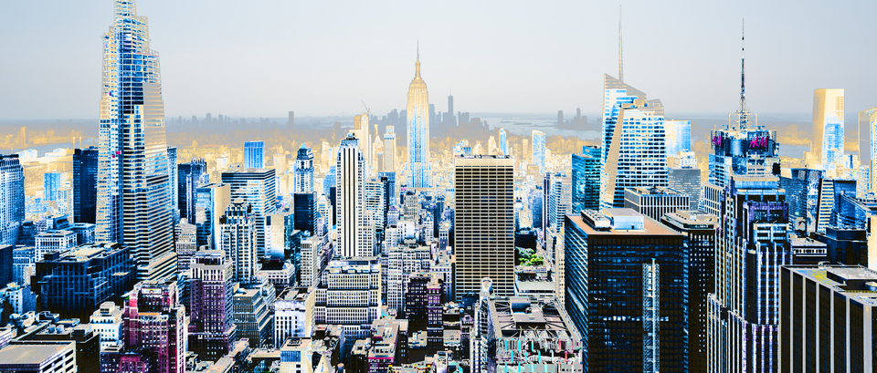 Stone Forest - ID 010571