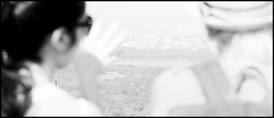 Looking Down to the Central Park - ID 010594