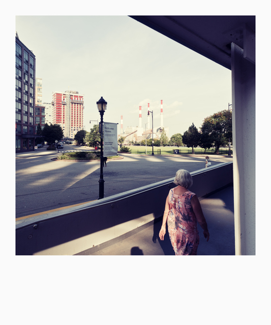 Roosevelt Island I - ID 010617