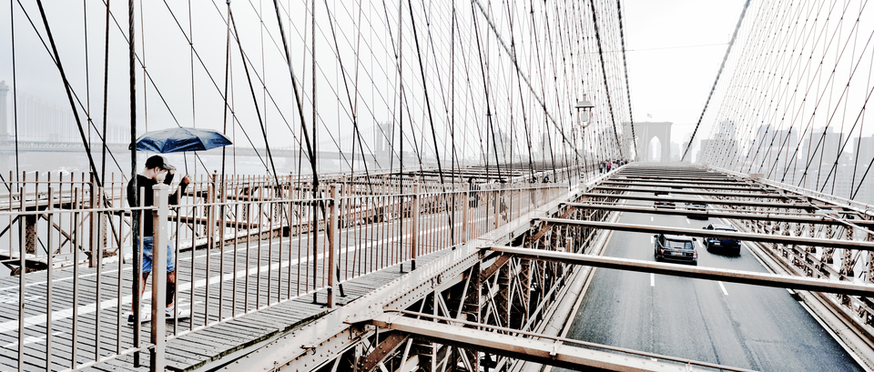 Brooklyn and Manhatten Bridge V - ID 010733