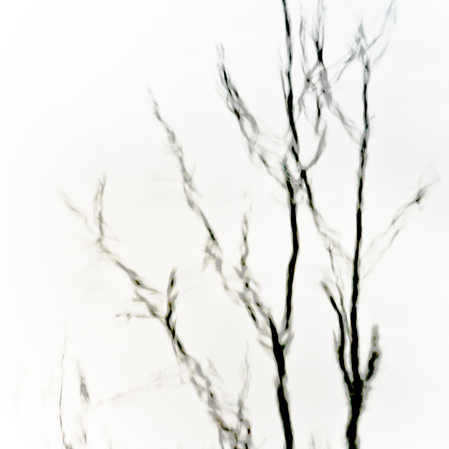 Lake Mirror II - ID 010930