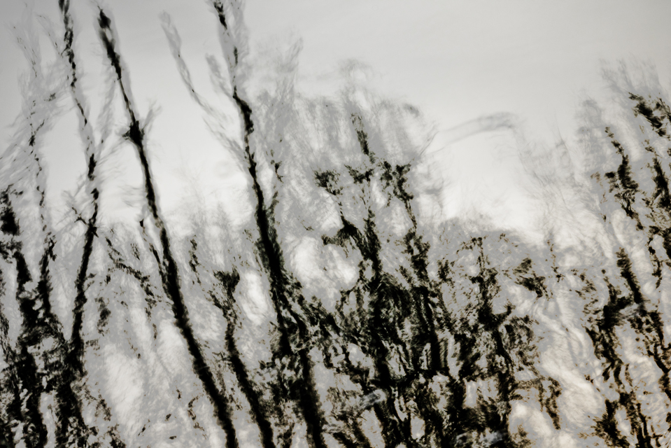 Lake Mirror VIII - ID 010936