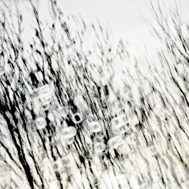 Lake Mirror X - ID 010938