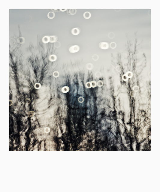 Lake Mirror XII - ID 010940