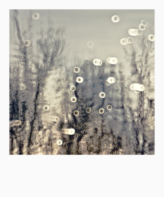 Lake Mirror XIII - ID 010941