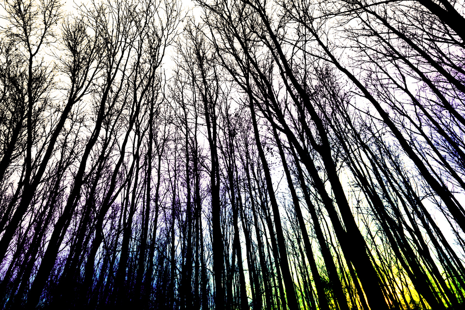 Colored Sky - ID 010943