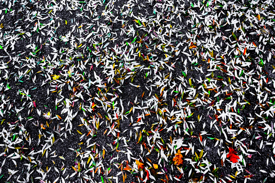 Colored Foliage - ID 010944