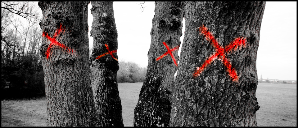 Four Red Crosses I - ID 010952