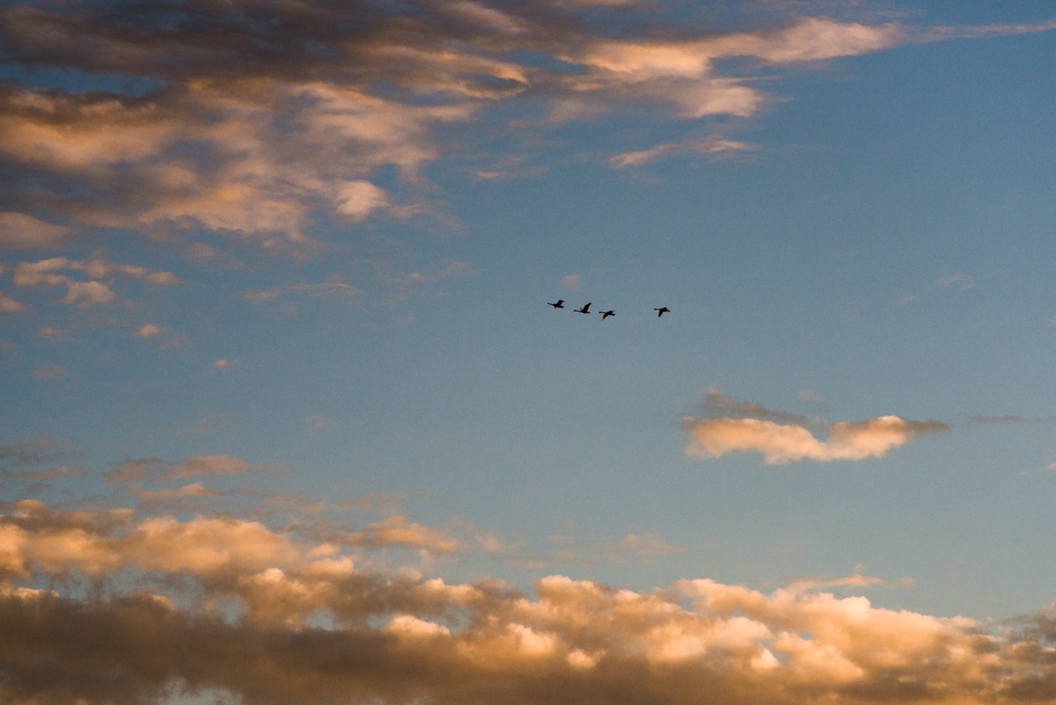 We are Four - ID 010971