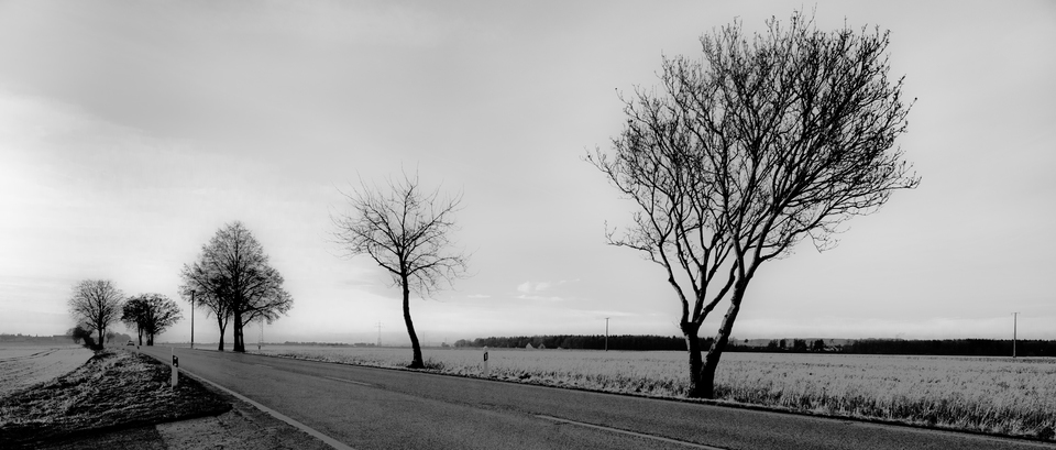 Down the Street - ID 010972