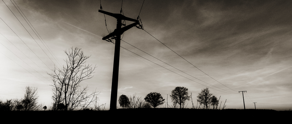 Down the Powerline - ID 010973