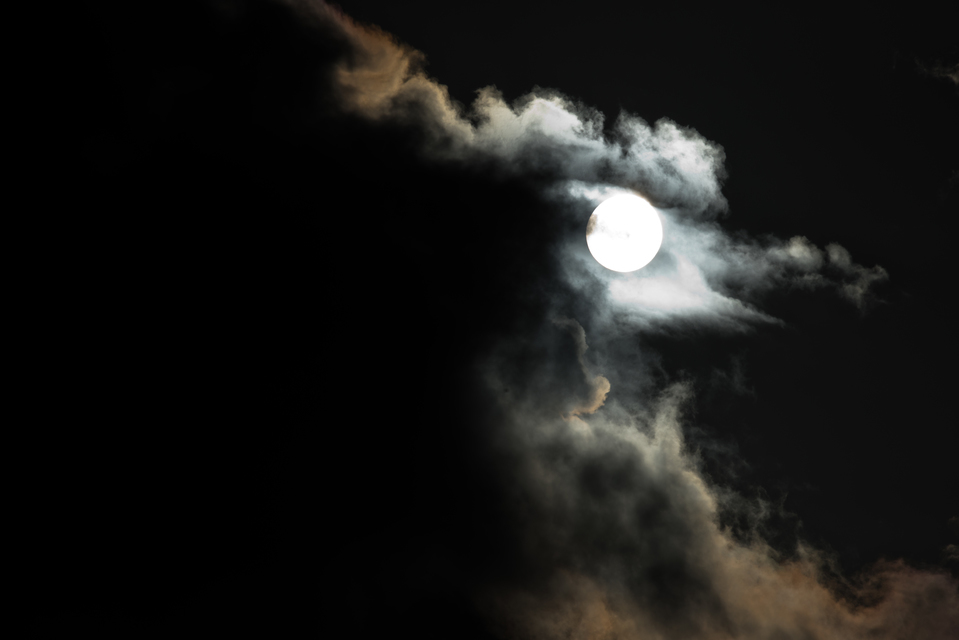 Peeking Sun II - ID 010980