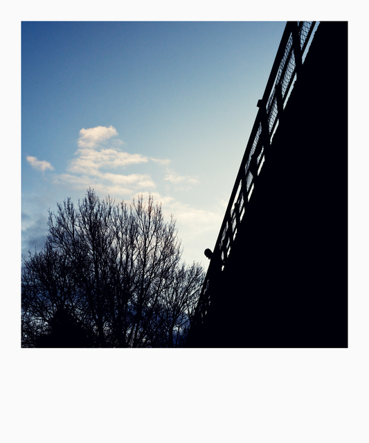 From below the Bridge with Head - ID 010983