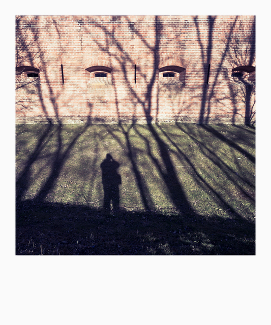 Shadows on the Fortress - ID 010998