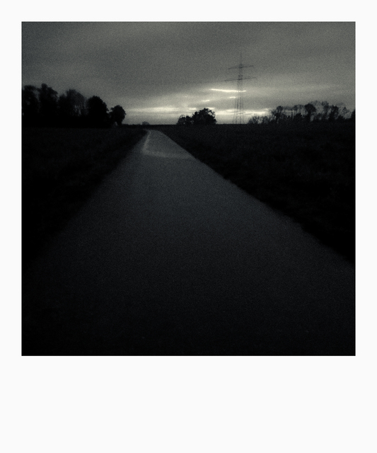 Evening Walk III - ID 011013